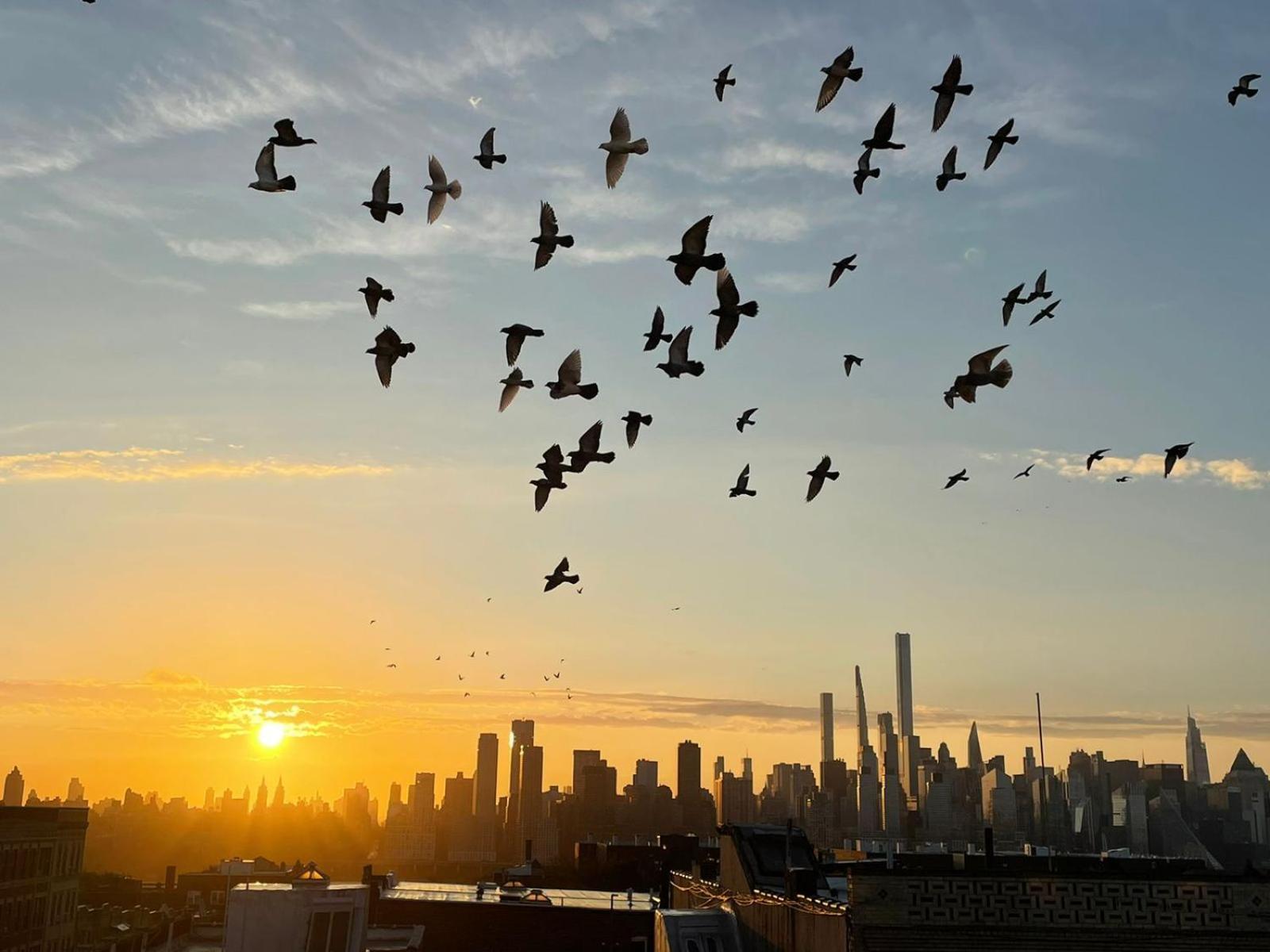 Апартаменти Ny Skyline One Of A Kind View Юніон-Сіті Екстер'єр фото